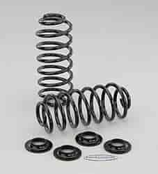 Performance Rear Springs