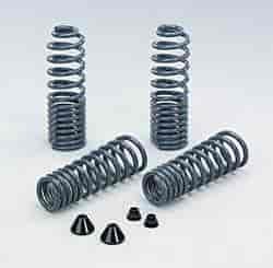 Performance Spring Set