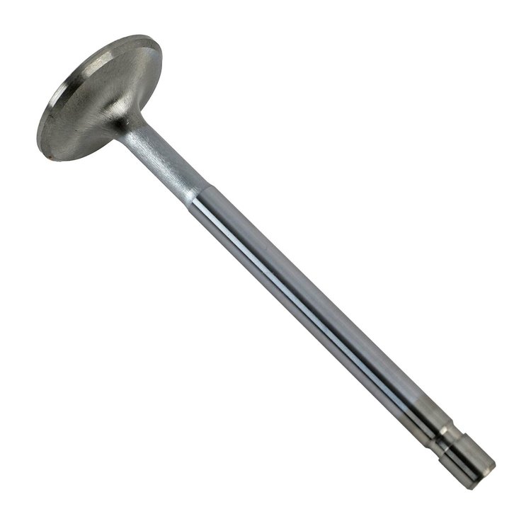 226 Small Block Ford Exhaust Valve, 1.55 in.