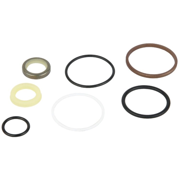 Ram Assist Seal Rebuild Kit