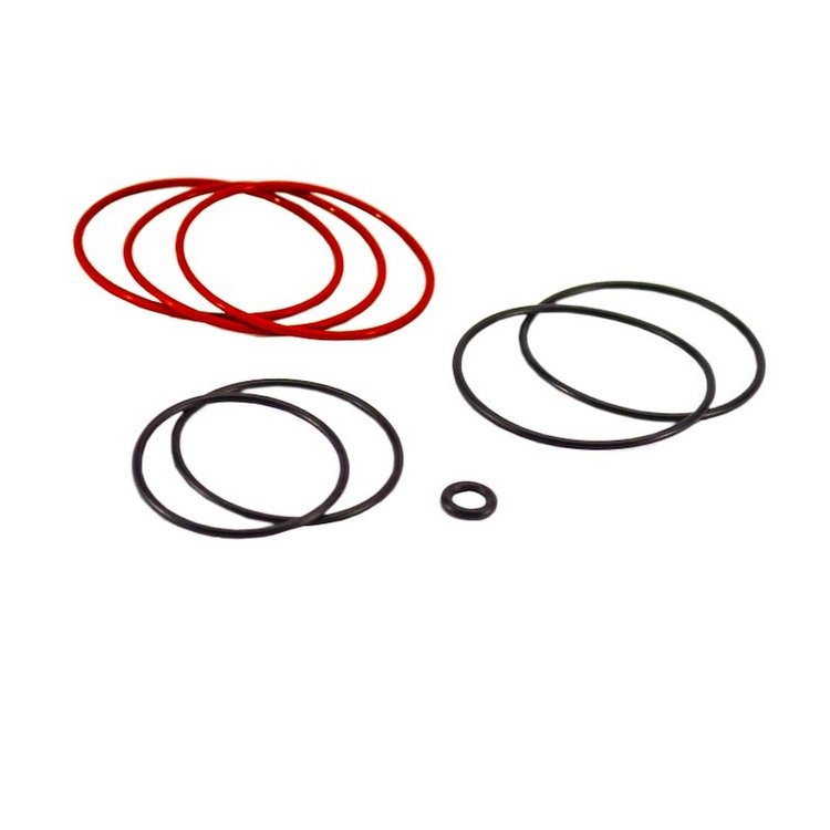 O-RING SERVICE KIT CKMA12