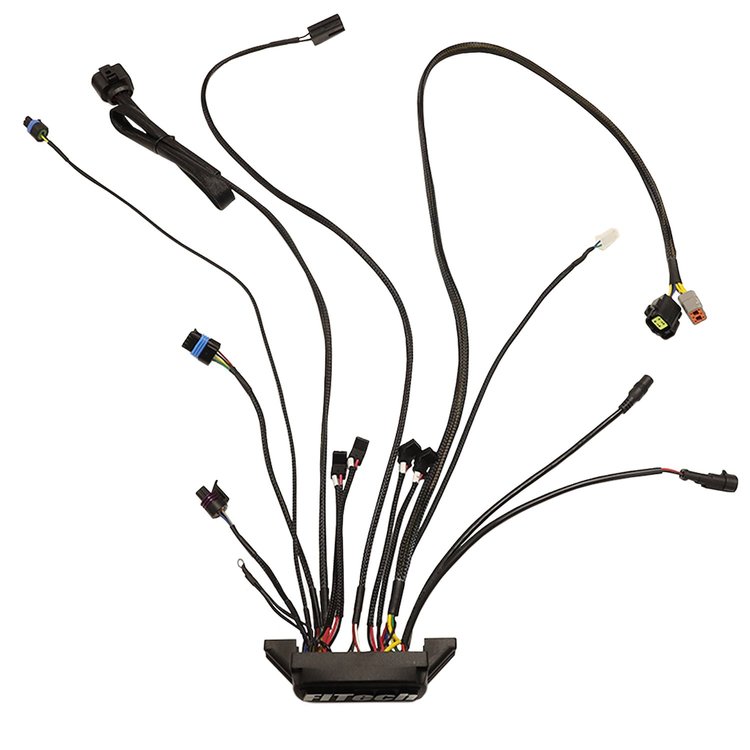 30004-1 Replacement ECU (Electronic Control Unit) for Go EFI 4 600 HP Self Tuning Fuel Injection System [Black]