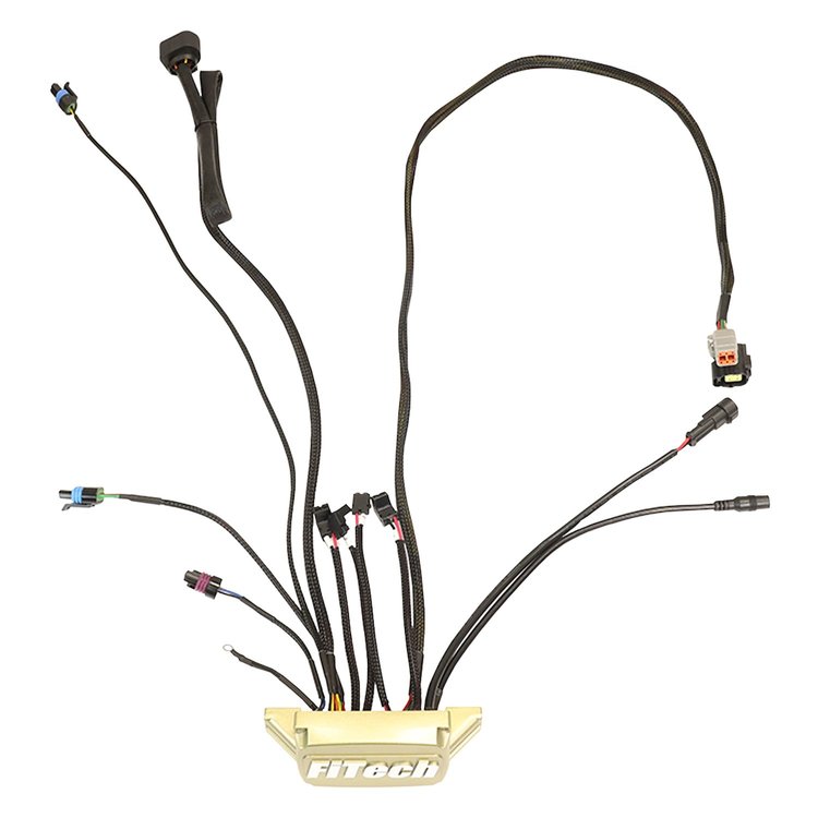 Replacement ECU (Electronic Control Unit) for Easy Street 600 HP Self Tuning Fuel Injection System [Classic Gold]