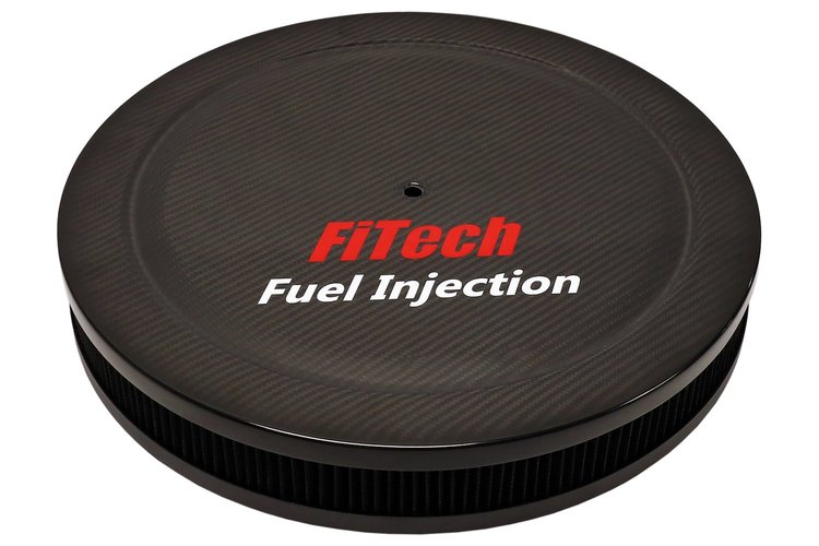 42201 Carbon Fiber Gloss Air Filter Assembly [14 in. x 2 in.]