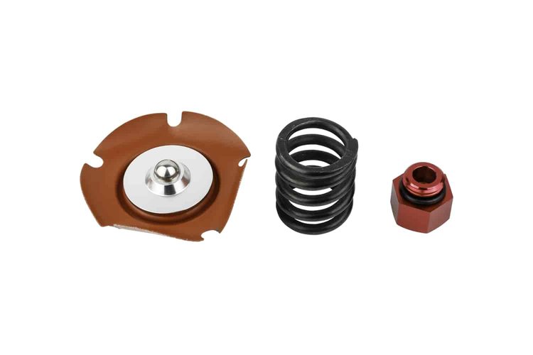 Fuel Pressure Regulator Service Kit EFI 650HP
