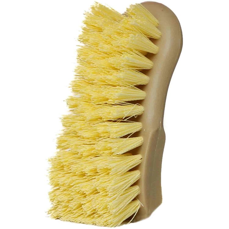 Carpet & Upholstery Brush 6" Length