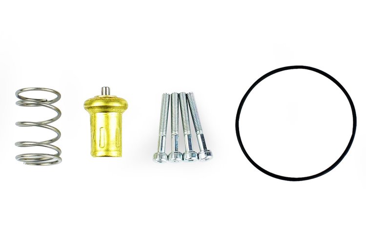 FSM-185-RKIT FSM Thermostat Rebuild Kit, 185-degrees F