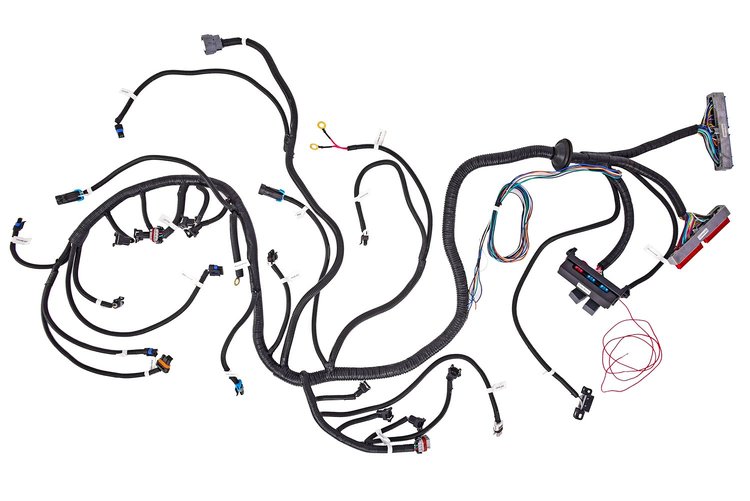 Engine Swap Wiring Harness for 1997-2004 GM 5.7L LS1 & LS6 V8, 1999-2006 GM Vortec 4.8L-6.0L V8 w/4L60E/4L80E Transmission