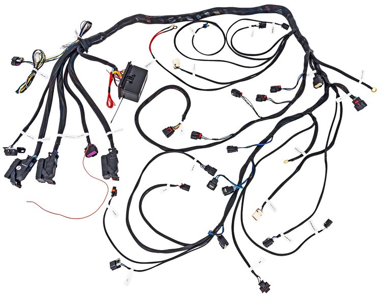 Engine Swap Wiring Harness for 2014-2024 GM Gen V LT 6.2L Engine and T56 Manual Transmission [DBW]