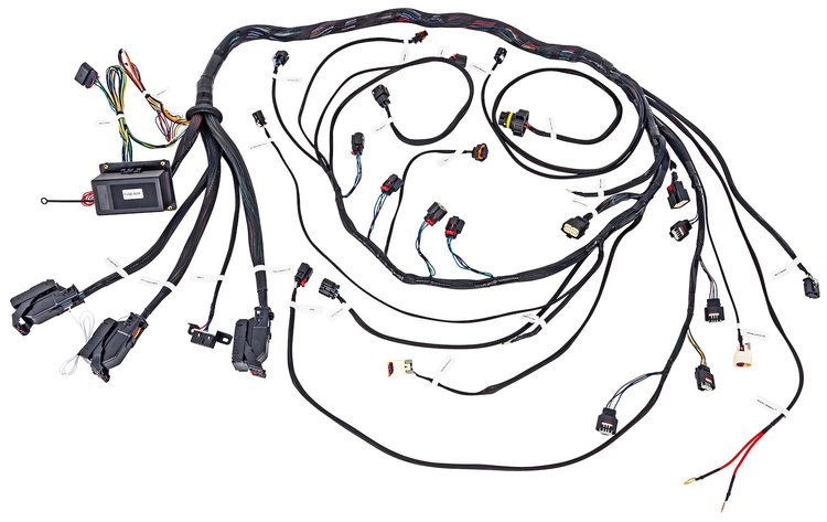 Engine Swap Wiring Harness for 2014-2024 GM Gen V LT 6.2L Engine and 6L80E Automatic Transmission [DBW]