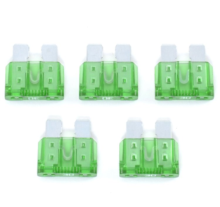 30 AMP Fuses 5/pkg