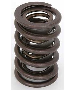 Valve Spring 1.550"
