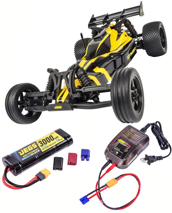 Stinger RC Buggy Ready-to-Run Kit