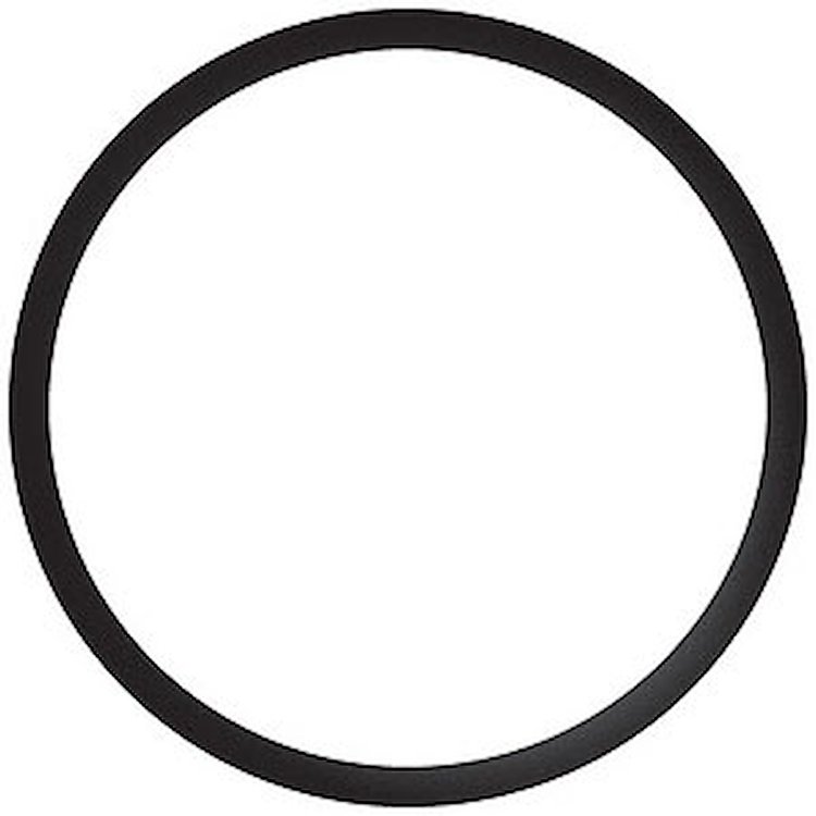 Thermostat Seal 1996-2010 Ford Modular 4.6L 2V/3V