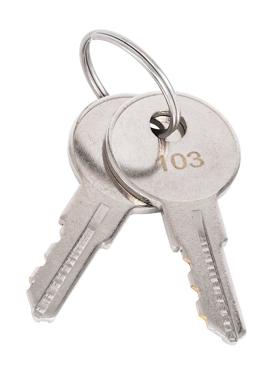 Rooftop Cargo Carrier 555-90098 Replacement Keys # 103