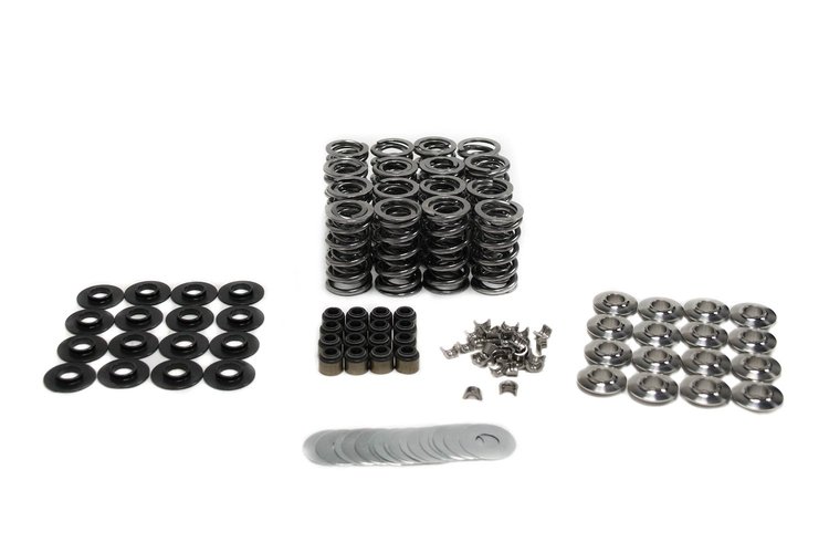 BTR-SK008/BZ .660 in. Lift Platinum GEN V LT4 Spring Kit; Titanium Retainers, Bronze Guides