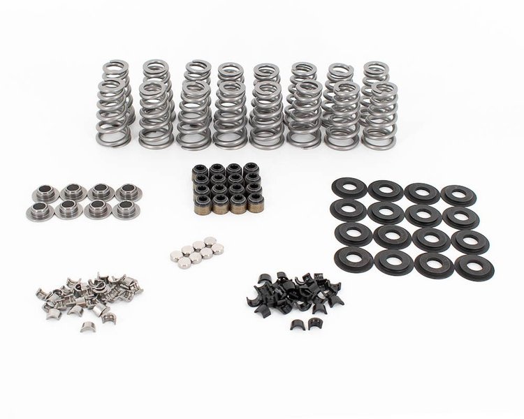 BTR-SK014/TS LT4 Conical Valve Spring Kit With Valve Tip Saver
