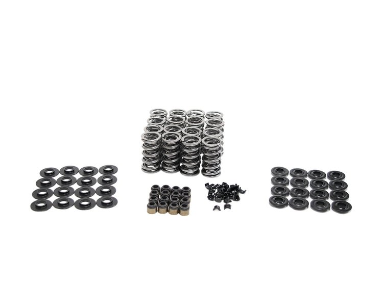 SK001/S/0545/BB Platinum Dual Valve Spring Kit, GM LS, Max Lift: .660 in.