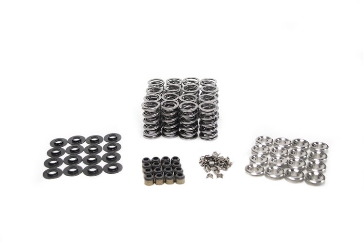 SK001/T/2060/BB Platinum Dual Spring Kit, GM LS, .660 in. Lift