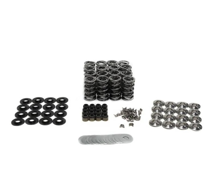 SK018/0560/BB LT1 .630 in. Lift Valve Spring Kit