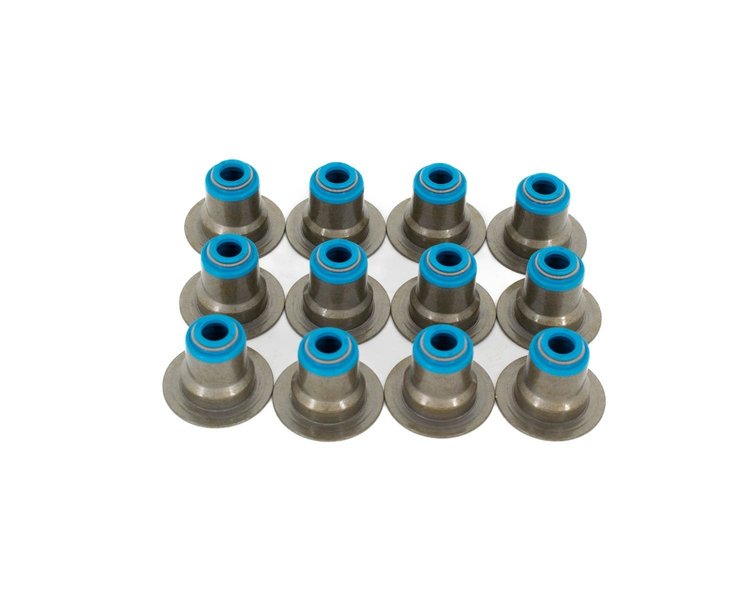 VS V6 HAT KIT Hat Valve Seal Set Of 12