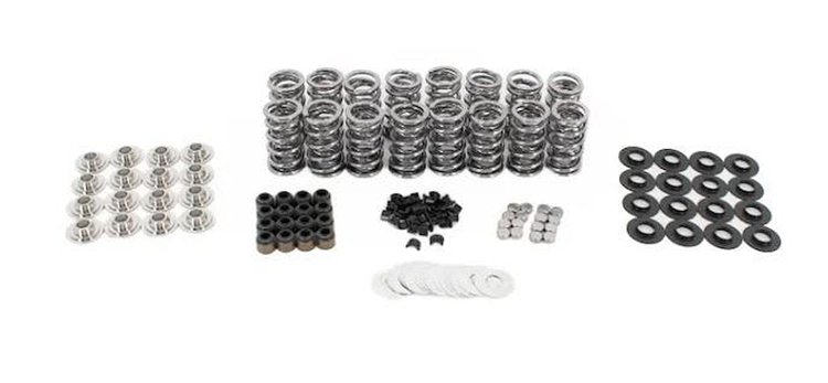 BTR-SK008/2060/BB/TS .660 in. Platinum LT4 Spring Kit With Tip Savers