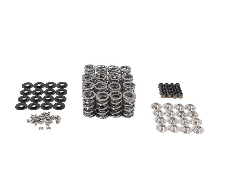 SK702/0560/LS9 LS9 .685 in. Lift Valve Spring Kit