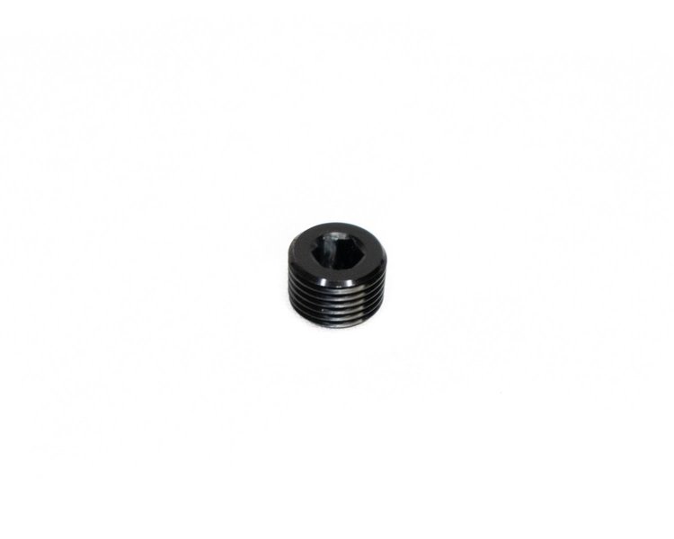 NPT-PG-1 NPT Plug 1 in.