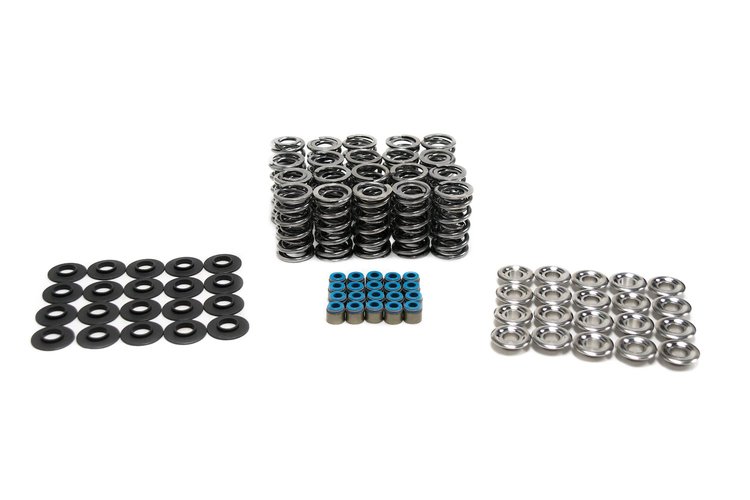 SK010 Platinum Dual Spring Kit, Dodge Viper, .660 in. Lift