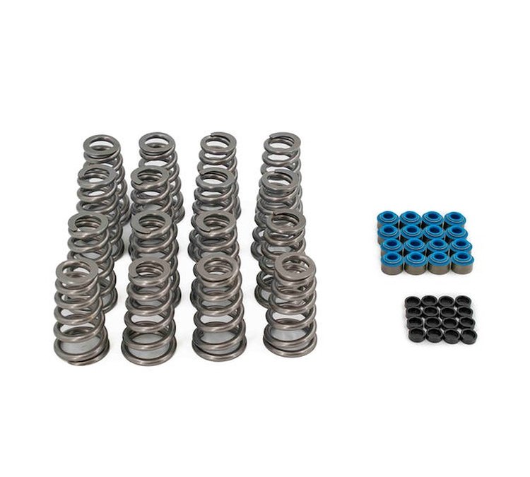 SK017/TS .650 in. Lift Spring Kit, Gen III Hemi 09-Up VVT, w/ Tip Savers