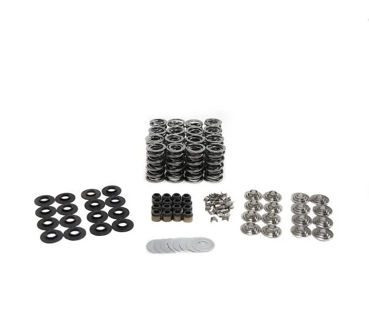 SK019/BB Valve Spring Kit, GM LT4, .630 in. Lift
