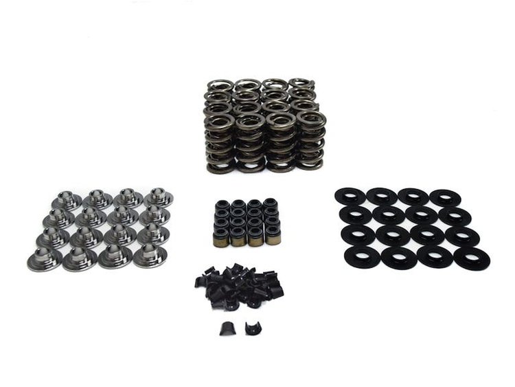 SK427/500 Sk427 Spring Kit - Solid Roller LSX
