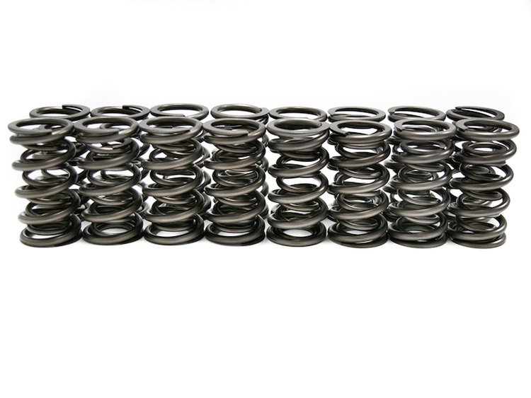 SP010-16 Dual Spring Set, .685 in. Lift