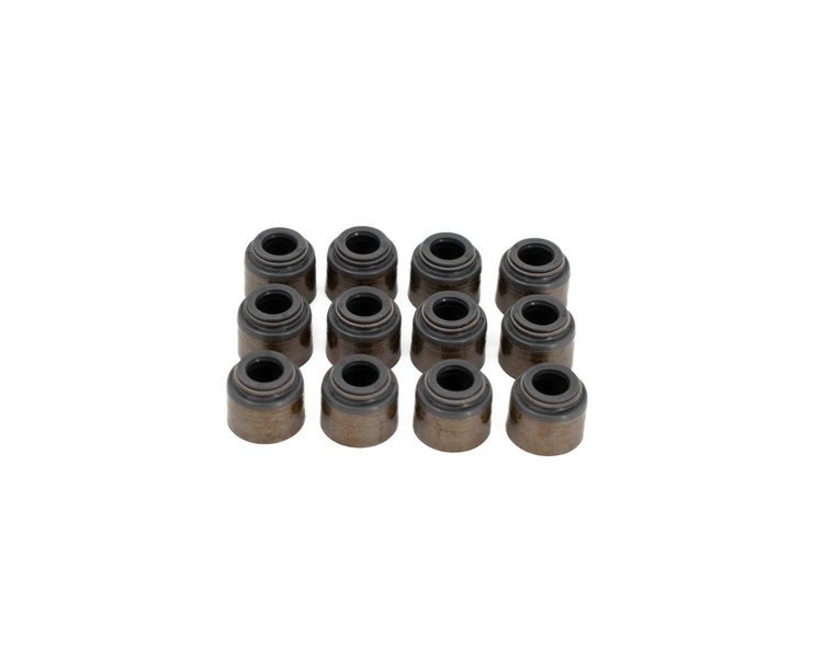 VS V6 KIT Valve Seal Set GEN V LT V6