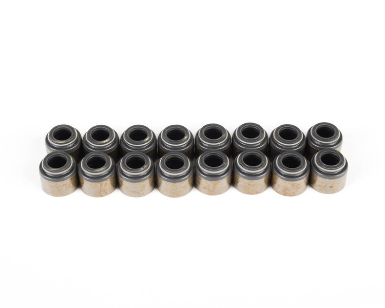 VS LS KIT Valve Seal Kit, GM LS