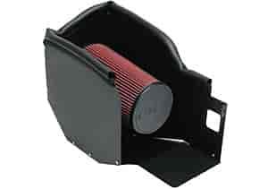 Ram Air Kit 1999-00 Ford F150 Lightning