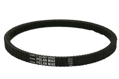Standard Polar Drive Belt 7/8" Wide