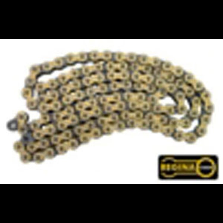 #415 Regina Gold Chain 10 ft