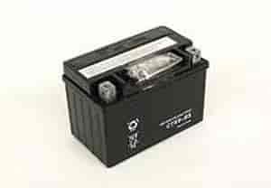Battery Replacement for Coleman Starter