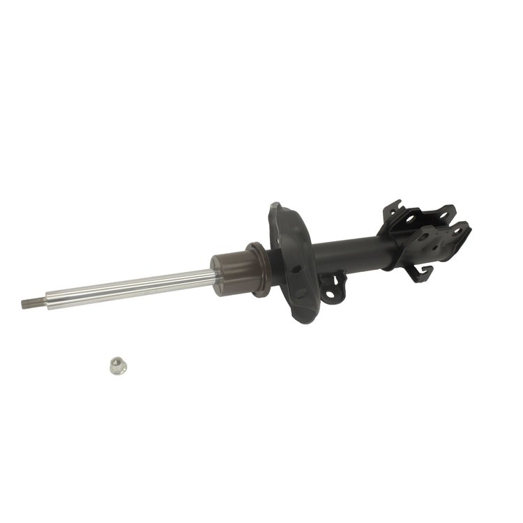 SHOCK/STRUT