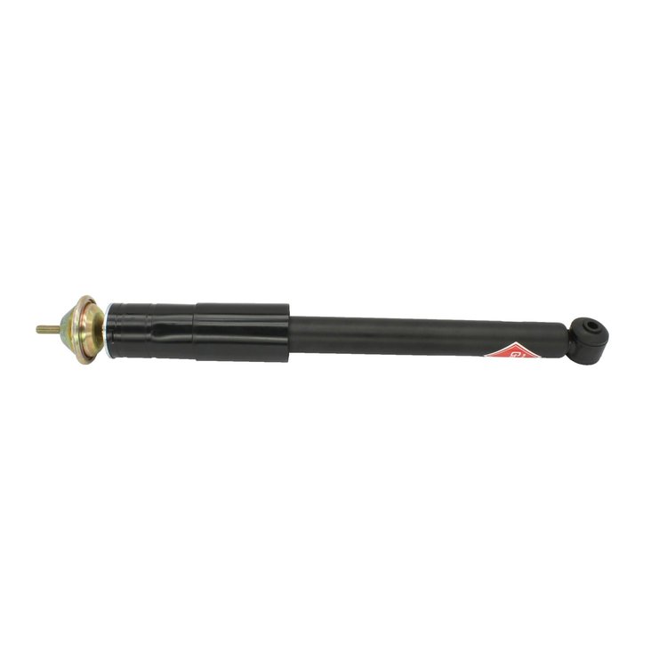 SHOCK/STRUT