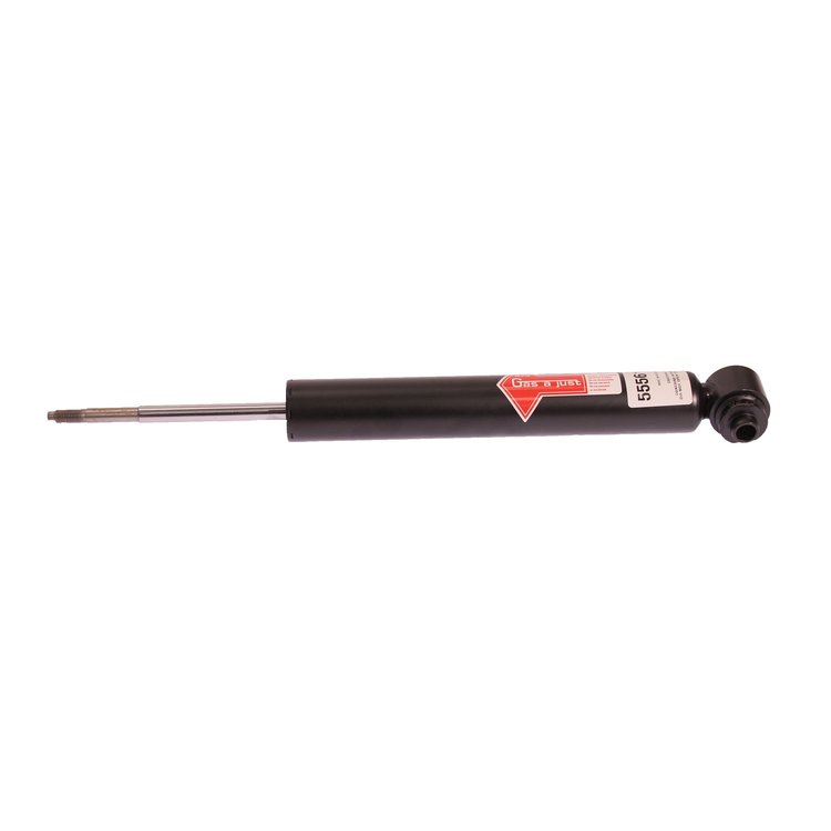 SHOCK/STRUT