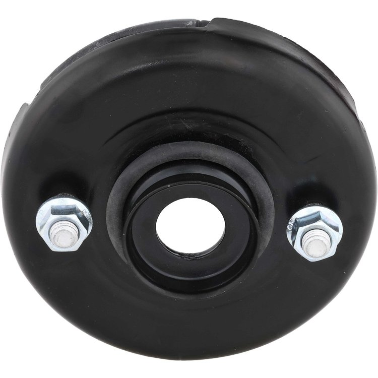 SHOCK/STRUT