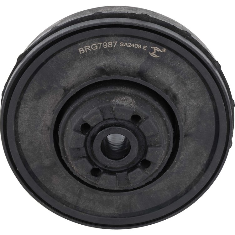 SHOCK/STRUT