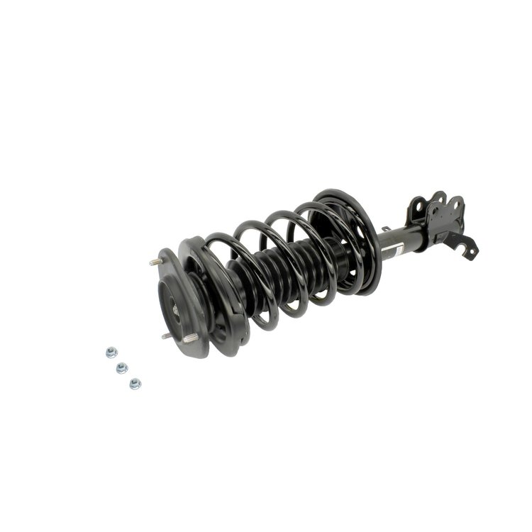 SHOCK/STRUT