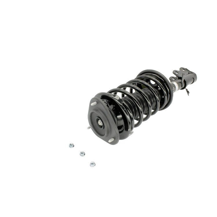 SHOCK/STRUT