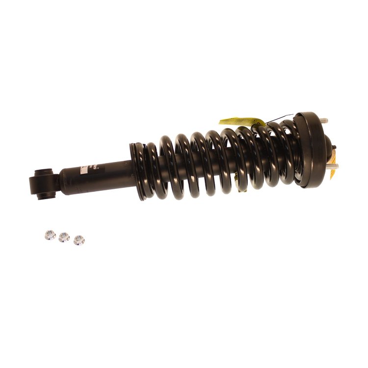 Strut Plus Assembly 2009-2010 Ford F-150 2WD