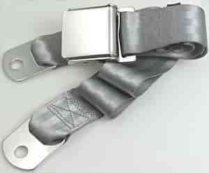2 Point Lap Belt Color: Silver