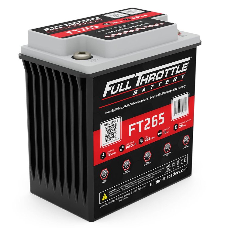 FT265 FT-Series AGM 12 V Battery, Group: B16CL-B, 265 CCA, 18 AH, 6 mm Insert Terminal RHP