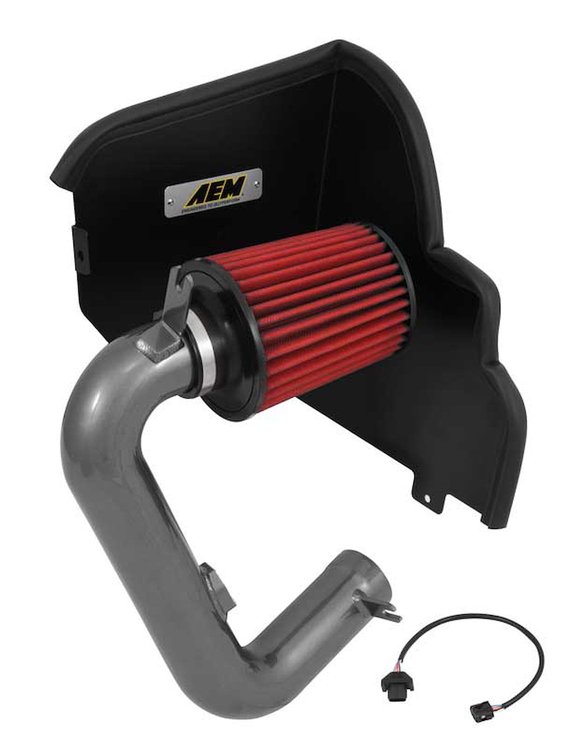 Cold Air Induction System